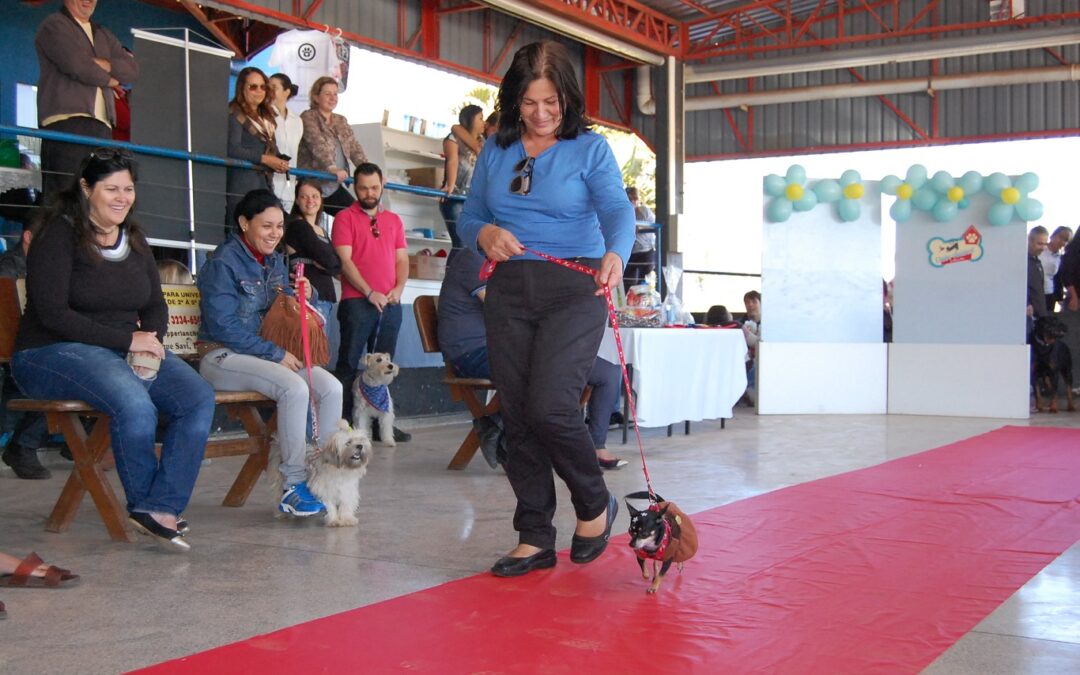 Cães têm domingo especial na FAAG